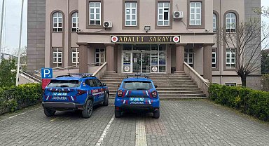 Eve kurduğu sistemle kenevir yetiştiren 2 şüpheli yakalandı