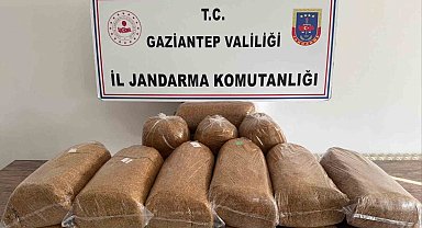 Gaziantep'te 353 aranan şahıs yakalandı