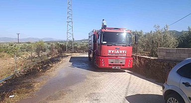 Gaziantep'te zeytinlik alanda yangın