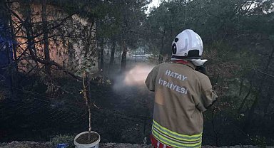 Hassa'da çamlık alan yangını