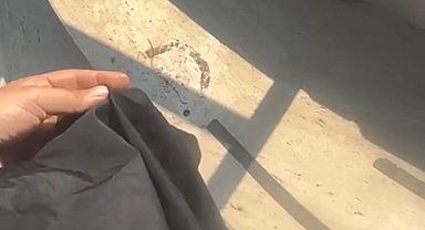 Havuzda tesettür mayo yasağında site görevlisi tutuklandı
