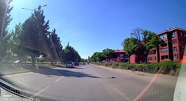 Kara yolunda mahsur kalan kaplumbağasına yardım eli