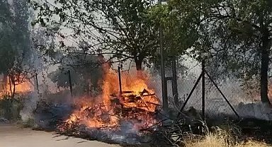 Karadağ Ormanlık alanda çıkan yangın korkuttu