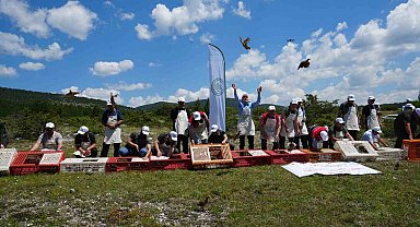 Kastamonu'da doğaya bin 200 kınalı keklik salındı