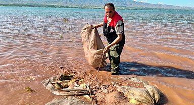 Keban baraj gölü'nde 700 kilogram canlı sazan kurtarıldı
