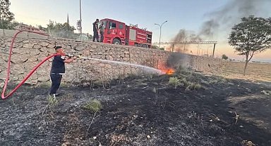 Kırıkhan'da zeytinlik alan yangını
