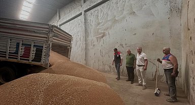 Koçarlı'da ilk hububat alımı gerçekleştirildi