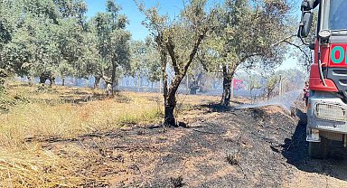 Korkutan arazi yangını 1 saatte kontrol altına alındı
