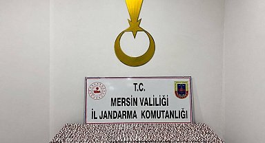 Mersin'de 7 bin 256 sentetik hap ele geçirildi, 1 tutuklama