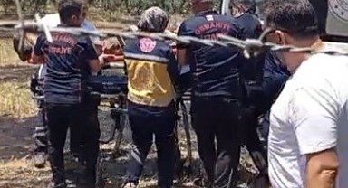Osmaniye'de anız yangını meyve bahçelerine sıçradı: 1 kişi hastanelik oldu