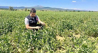 Planlı tarımsal üretim için saha çalışmaları sürüyor