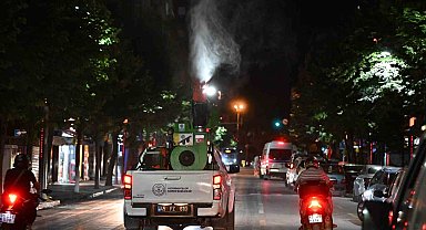 Sivrisineklere karşı eş zamanlı ilaçlama