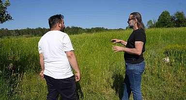 Siyezin, anavatanı Kastamonu'da ekim sahası genişliyor