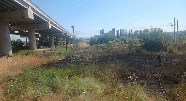 Susurluk'ta çıkan ot yangını söndürüldü