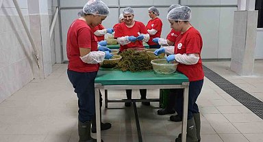 Tarımsal Ürün Fabrikası ile kadınlar üretiyor Efeler kazanıyor