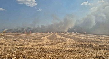 Tekirdağ'da 2 farklı noktada çıkan yangın söndürüldü: 700 dönümlük alan ve 20 konteyner kül oldu