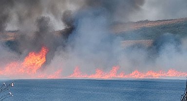 Tekirdağ'da tarım arazisinde korku dolu anlar