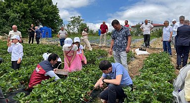 Yayla çileği aromasıyla öne çıkıyor