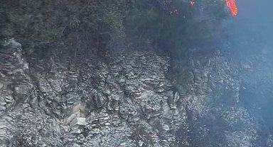 Yayladağı'nda ormanlık alanda çıkan yangın kontrol altına alındı