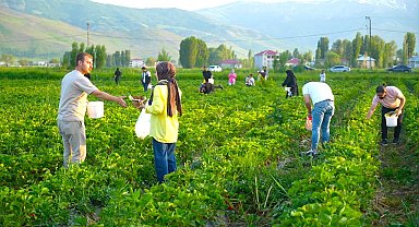 Yemek serbest, götürmek ücretli