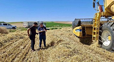 Afyonkarahisar'da hububat hasadı başladı