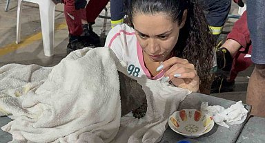 Alevlerin arasından kurtarılan kaplumbağa için zamanla yarışıldı