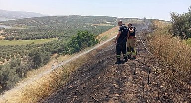 Altınözü'de anız yangını