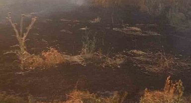 Anız yangını tarım arazileri ve ormanlık alana sıçramadan söndürüldü
