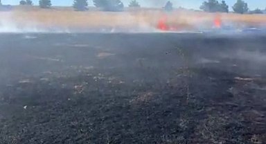 Anız yangınında 10 dönüm alan zarar gördü