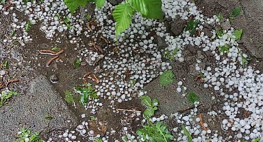Ardahan'da sağanak ve dolu yağışı tarım arazilerine zarar verdi