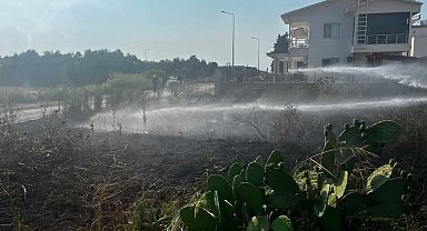 Arsuz'da otluk alan yangını