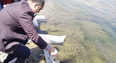 Aslanapa Kureyşler Göleti'ne 140 bin sazan yavrusu bırakıldı