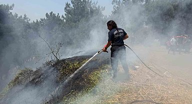 Aydın Büyükşehir İtfaiyesi 8 günde 445 yangına müdahale etti