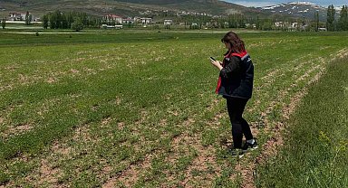 Aydıntepe'de ürün tespit çalışmaları sürüyor