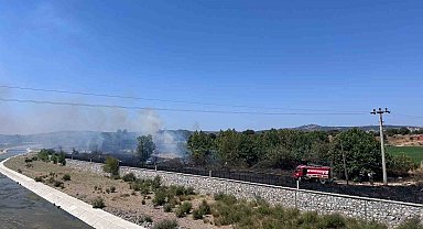 Ayvacık'ta otluk alanda çıkan yangın söndürüldü