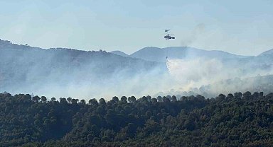 Balıkesir Gömeç yangını 3. gününde.