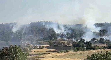 Balıkesir'de orman yangınına müdahale sürüyor