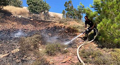 Balıkesir'deki anız yangını kontrol altına alındı