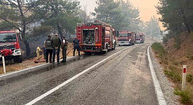 Balıkesir'deki yangın sebebiyle Ayvalık Bergama yolu trafiğe kapatıldı