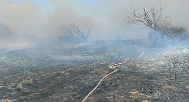 Bandırma'da arazi yangını kısa sürede söndürüldü