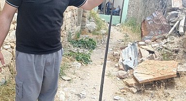 Baykan'da yılan paniği