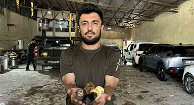 Bir belgesel izledi, hayatı değişti: Oto yıkama dükkanından tavukçuluk fabrikasına uzanan azim hikayesi