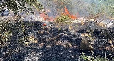 Bitlis'te peş peşe çıkan yangınlar paniğe neden oldu