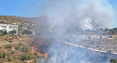 Bodrum'da makilik yangını