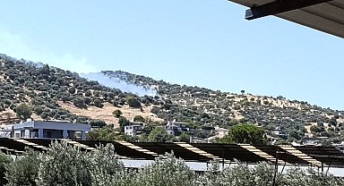 Bozdoğan'daki zirai alan yangını kontrol altına alındı