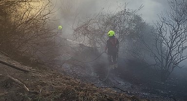 Burhaniye'de ot yangınını itfaiye söndürdü