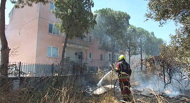 Burhaniye'de zeytinliğe sıçrayan ot yangını polis merkezinde korkuya neden oldu