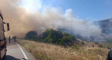 Bursa'daki yangında 100 dönüm alan zarar gördü
