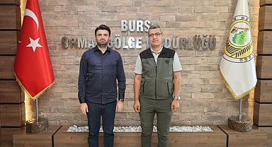 Bursaspor taraftarı orman yangınlarına karşı seferber oluyor