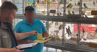 Çanakkale'de petshop denetimi